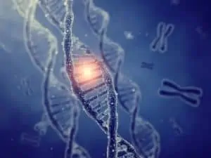 Fibromialgia 6 imagem 7