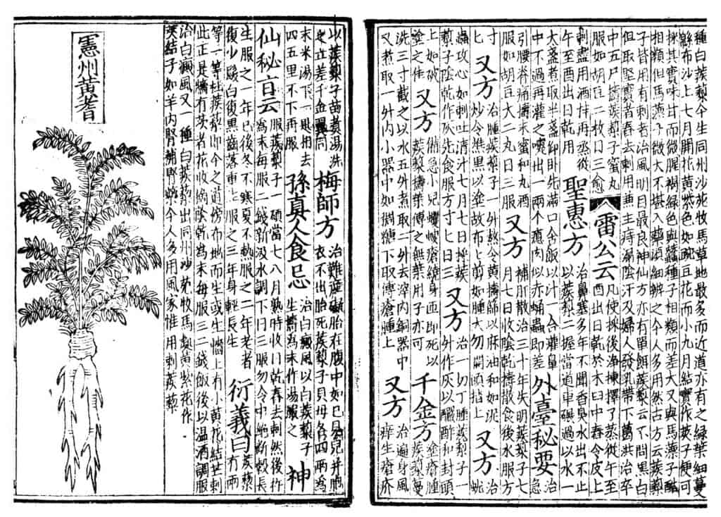 Páginas de um livro médico chinês antigo impresso em xilogravura, com colunas de caracteres e a gravura de uma planta com raiz