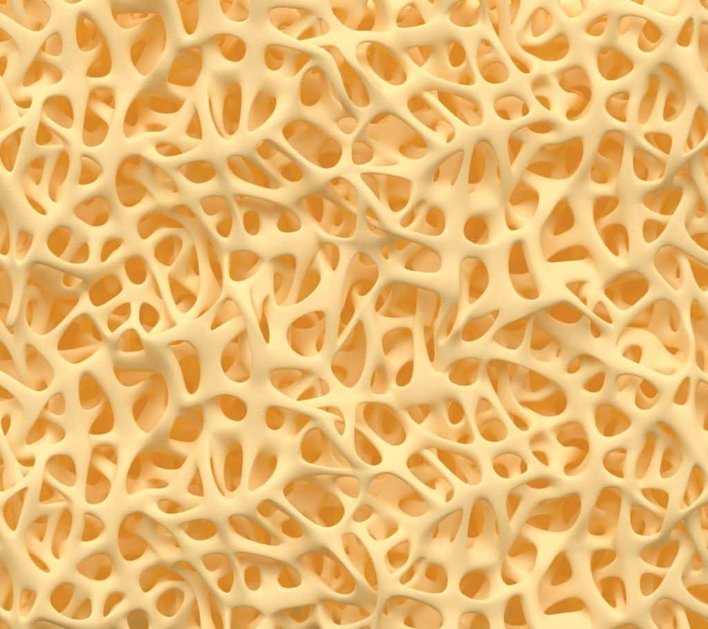 Render tridimensional em tom bege da estrutura interna esponjosa de um osso, com a rede de trabeculas e os espaços porosos entre elas.