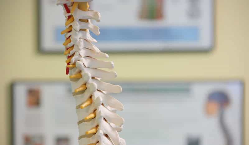 como cuidar de sua coluna vertebral