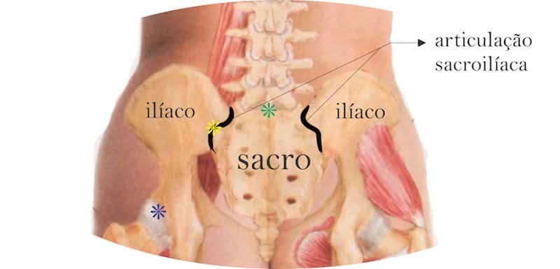 anatomia articulacao sacroiliaca