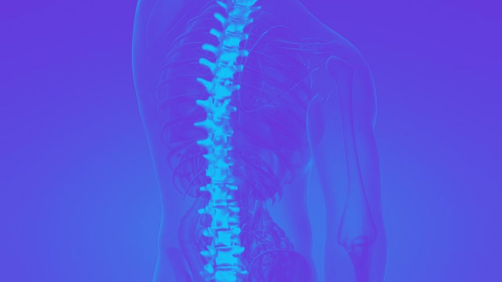 Render 3D em tom azul da coluna vertebral em vista lateral, com as vértebras e o tronco em transparência