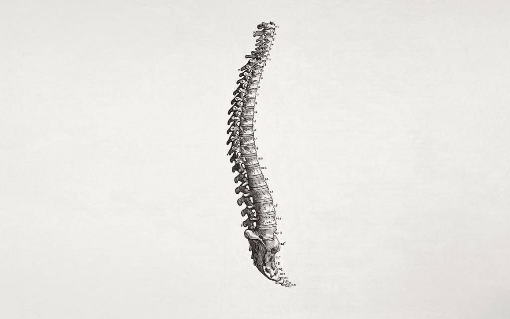 wallpaper-ilustracao-spine-coluna