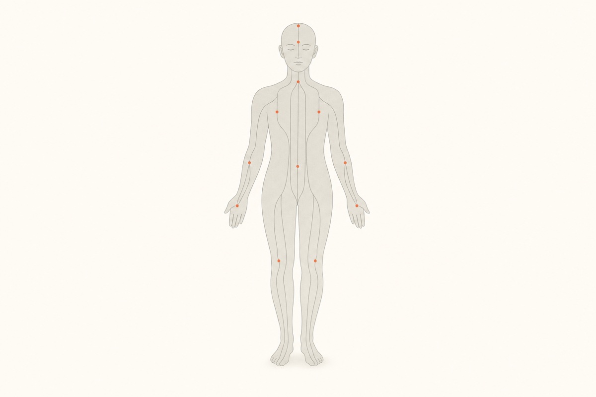Ilustração de um corpo humano de frente com os trajetos dos meridianos em linha fina e pontos de acupuntura marcados em terracota.