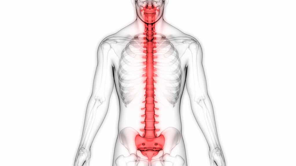 Como a maioria dos problemas articulares na coluna, a protusão discal (“protrusão discal”) é causada pelo envelhecimento dos discos intervertebrais