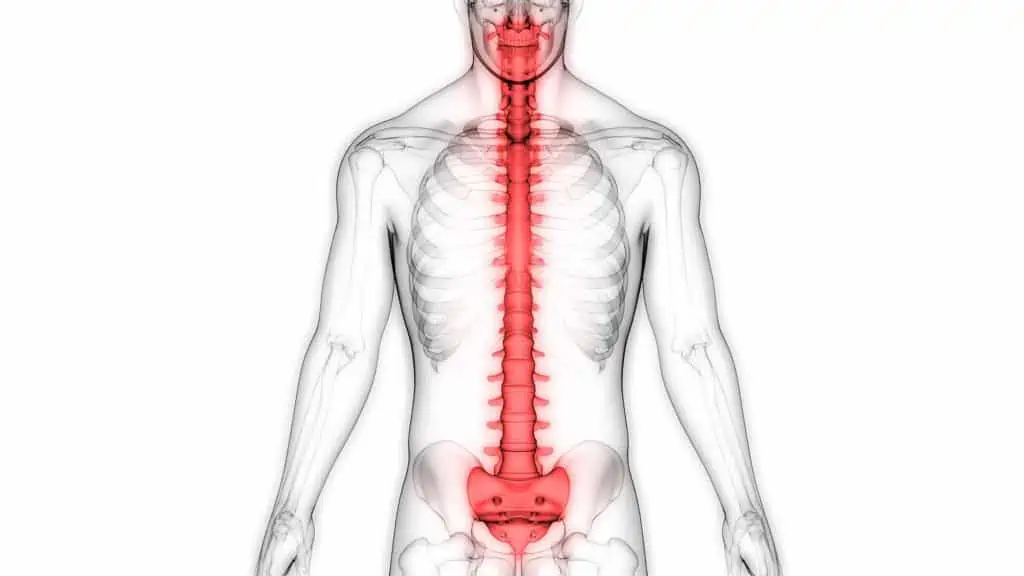 Como a maioria dos problemas articulares na coluna, a protusão discal (“protrusão discal”) é causada pelo envelhecimento dos discos intervertebrais