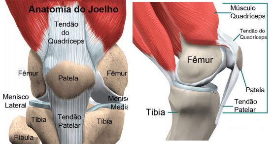 O Que E E Como Tratar Condromalacia Patelar Centro De Dor