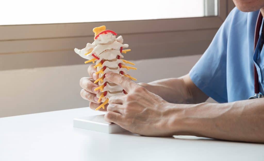 Profissional de jaleco azul segurando um modelo anatômico da coluna cervical e apontando para as vértebras e raízes nervosas em destaque