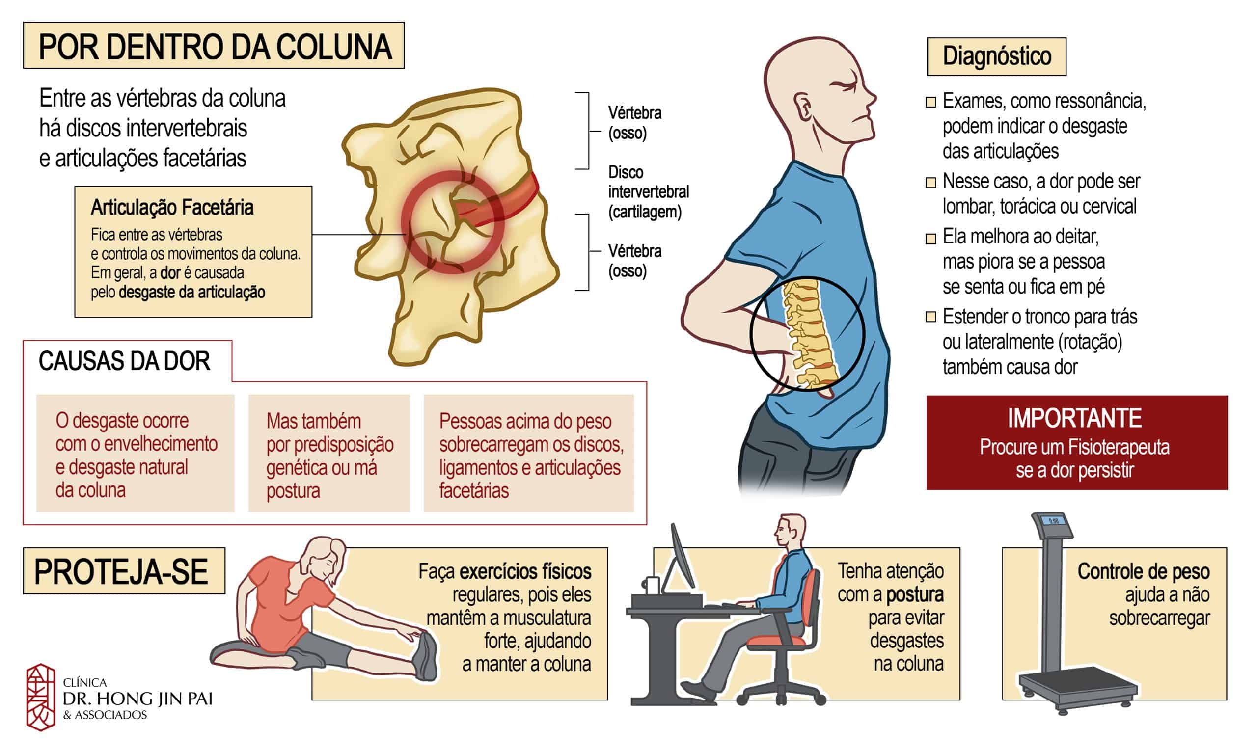 Por dentro da Coluna Vertebral