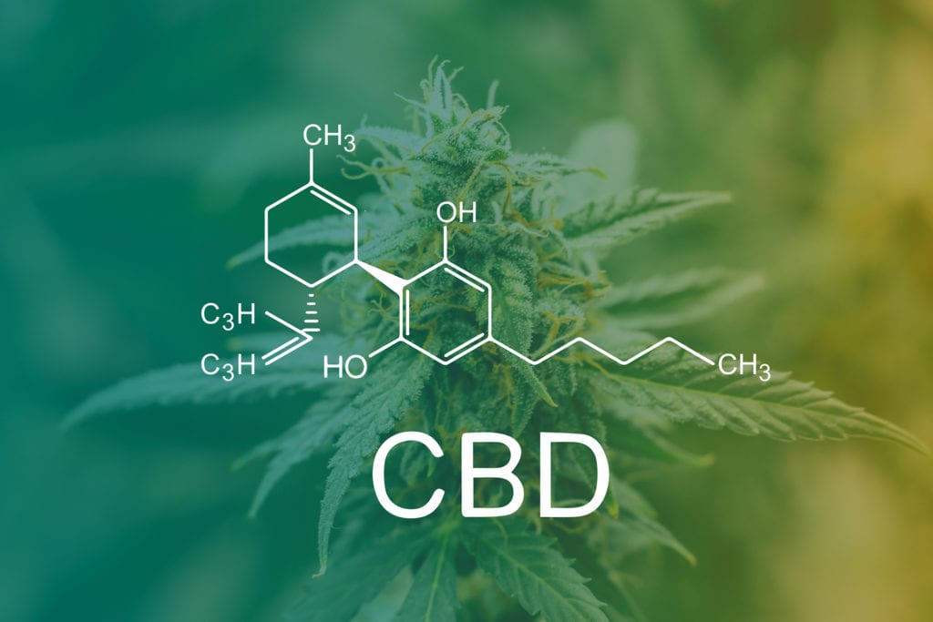 Estrutura química do canabidiol em linhas brancas sobreposta a uma planta de cannabis com a sigla CBD