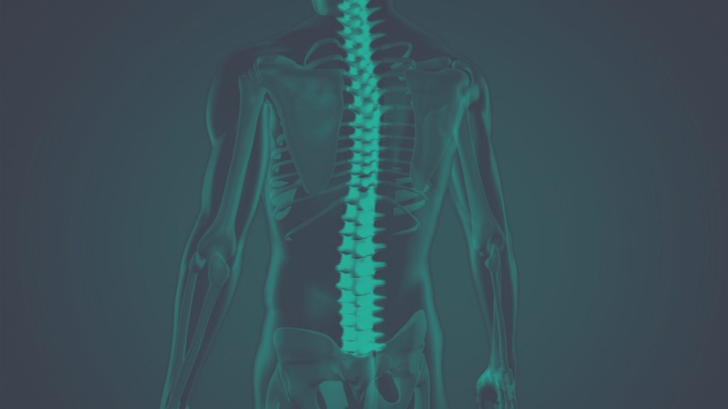 Render 3D de um corpo humano visto de costas com a coluna vertebral e a pelve realcadas em verde sobre fundo escuro.