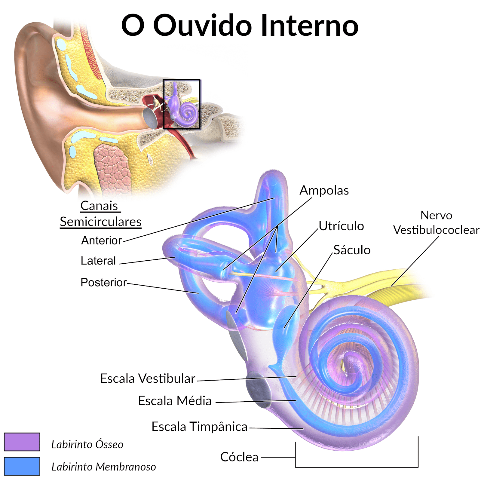 labirinto