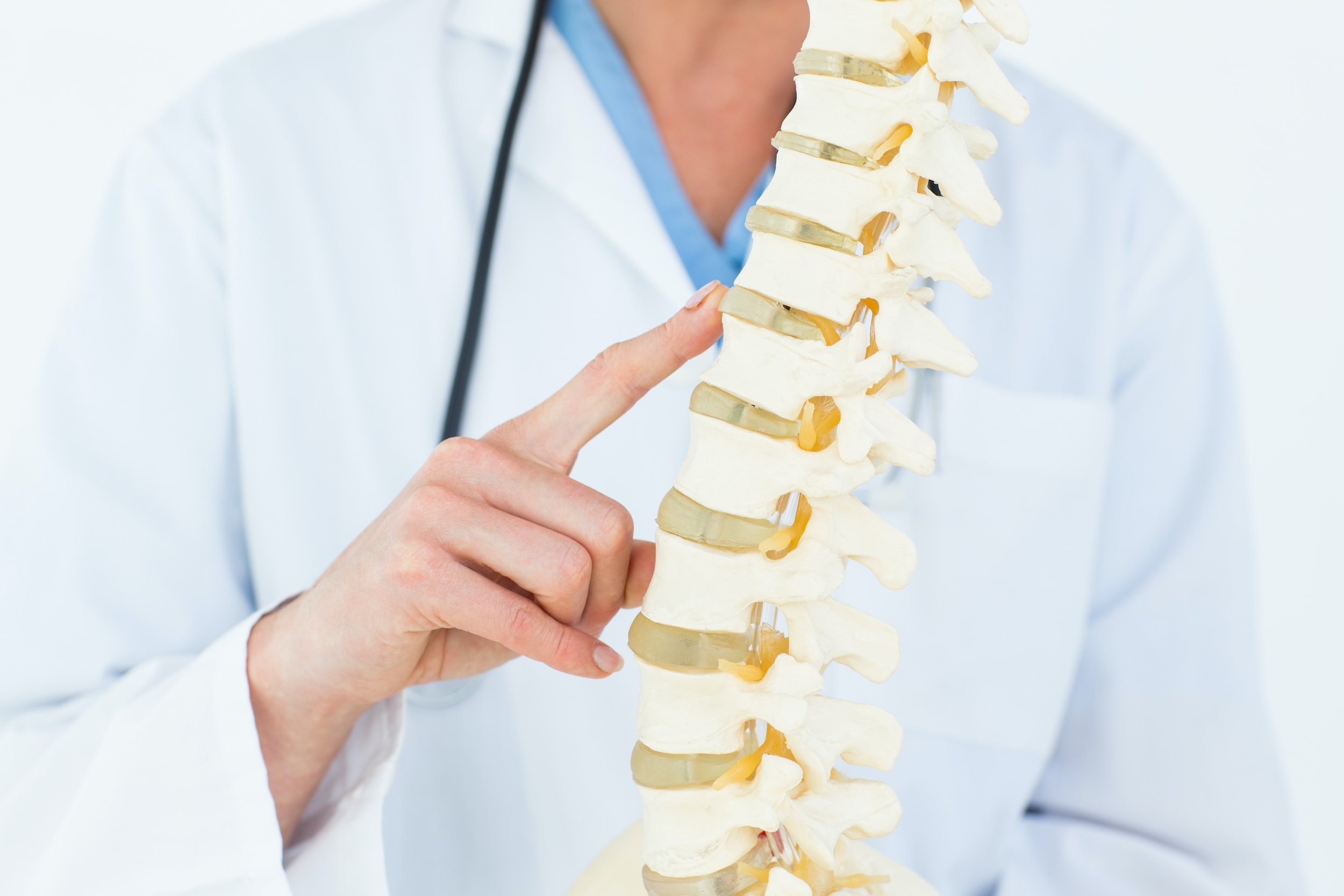 Mão de jaleco branco segurando um modelo de coluna vertebral