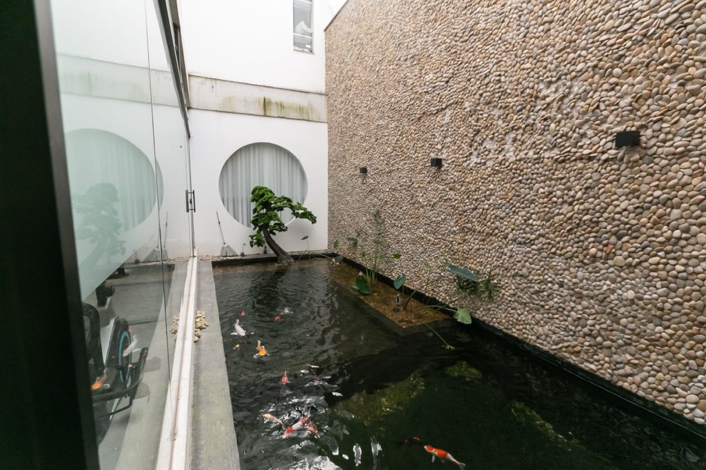 Jardim interno da clínica com lago de carpas, bonsai e parede de pedras
