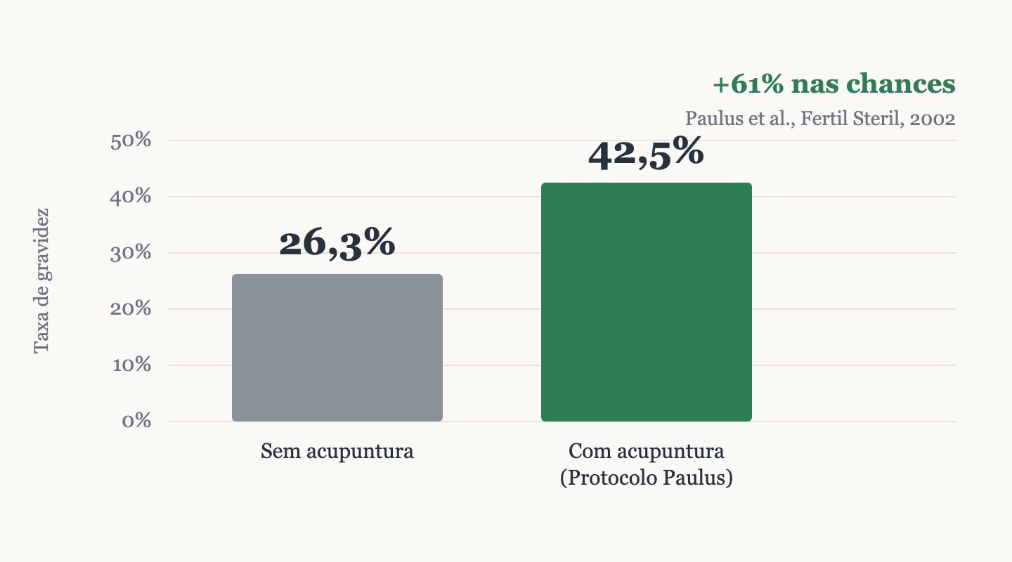 Gráfico de barras da taxa de gravidez na FIV: 26,3% sem acupuntura e 42,5% com acupuntura pelo Protocolo de Paulus, mais de 60% de aumento nas chances.